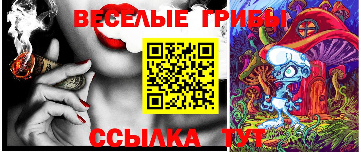 Галлюциногенные грибы ЛСД  Вход с VPN  Новочеркасск 